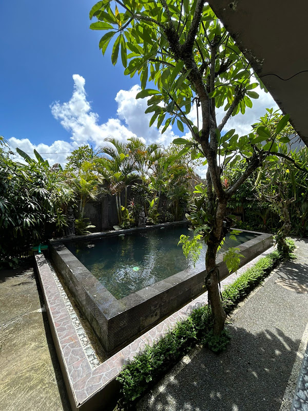 2 Bedrooms · Penestanan, Ubud — photo 4