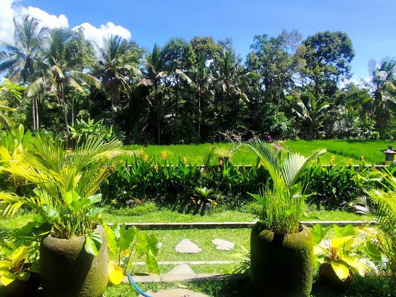 1 Bedroom · Keliki, Ubud — photo 2