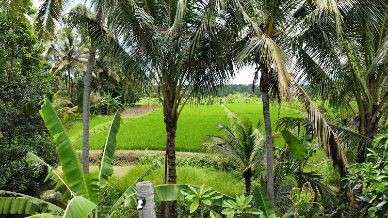 1 Bedroom · Carangsari — photo 2