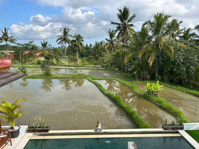 2 Bedrooms · Pejeng Kangin, Ubud — photo 2