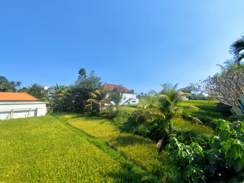 1 Bedroom · Tirta Tawar, Ubud — photo 1