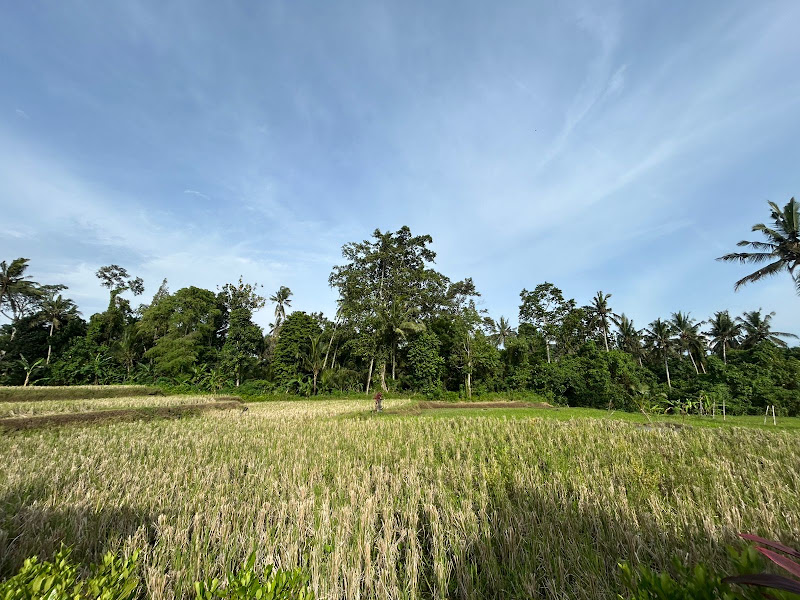 2 Bedrooms · Pejeng, Ubud — photo 6