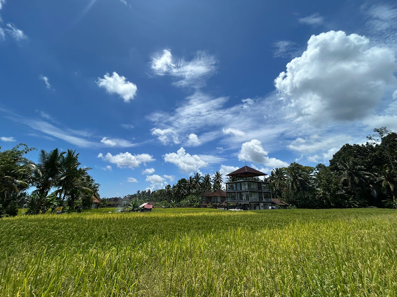 1 Bedroom · Jalan Suweta, Ubud — photo 2