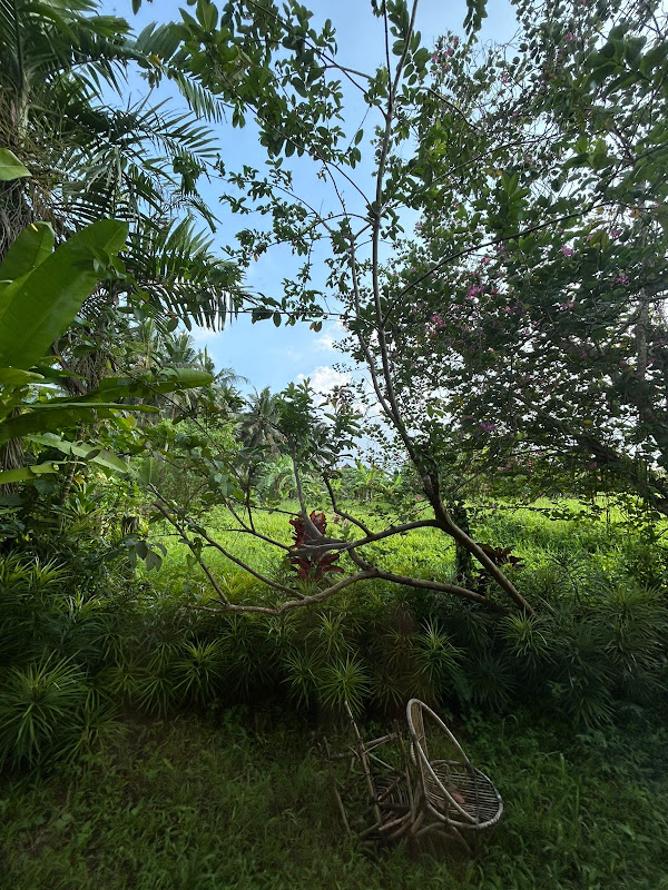 2 Bedrooms · Penestanan, Ubud — photo 3