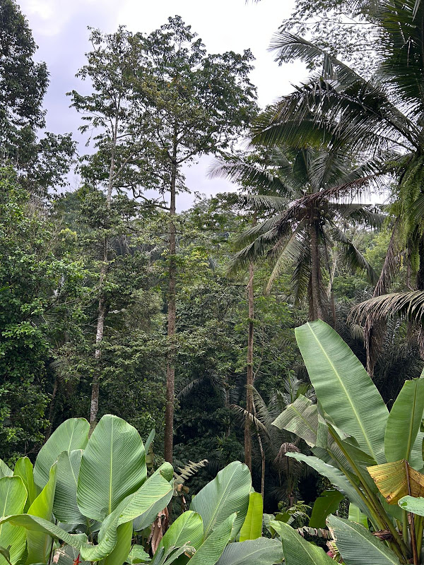 1 Bedroom · Keliki, Ubud — photo 6
