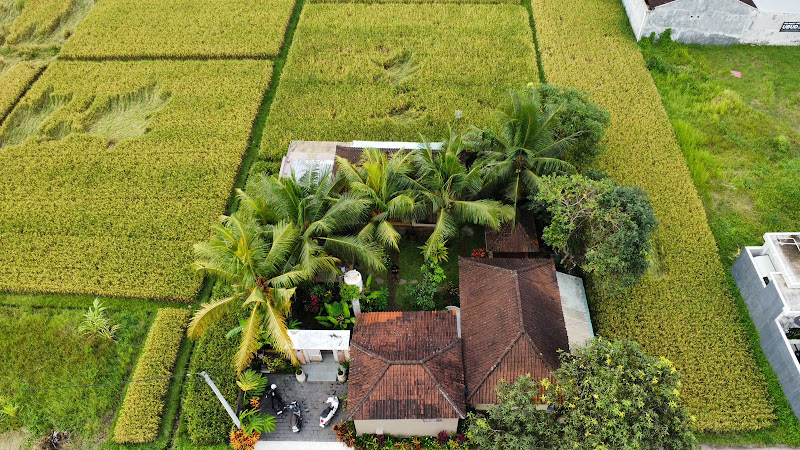 3 Bedrooms · Sayan, Ubud — photo 2