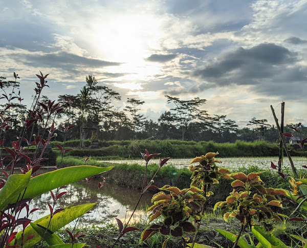 1 Bedroom · Keliki, Ubud — photo 1