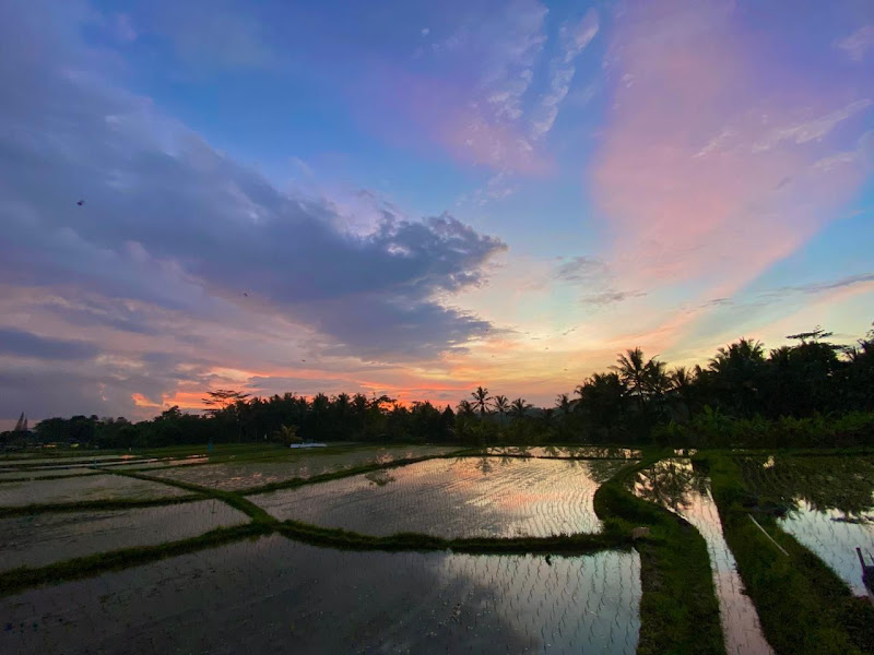1 Bedroom · Keliki, Ubud — photo 6