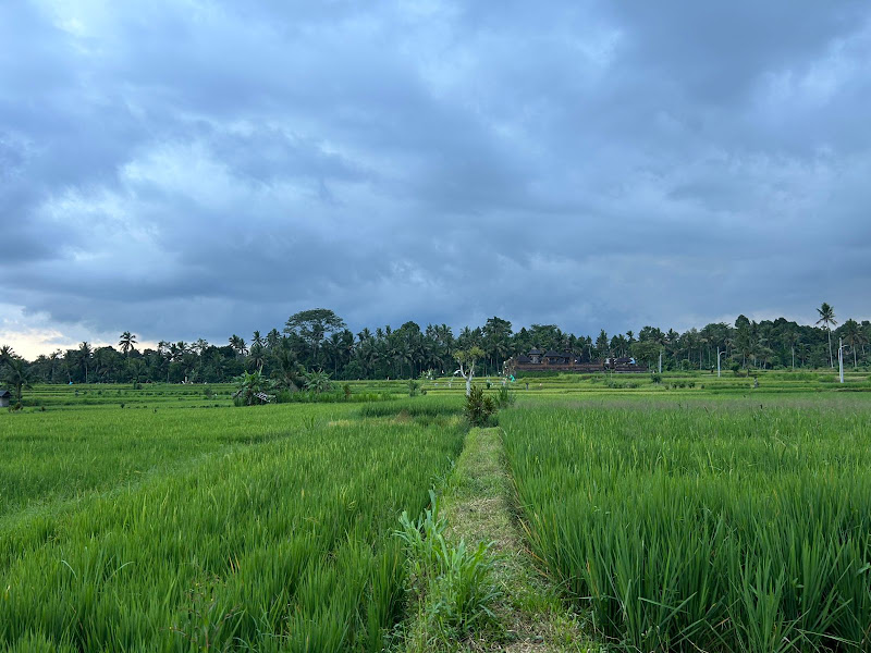 2 Bedrooms · Bongkasa, Ubud — photo 1