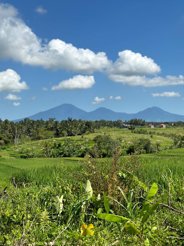 2 Bedrooms · Abiansemal, 25mins From Ubud — photo 1