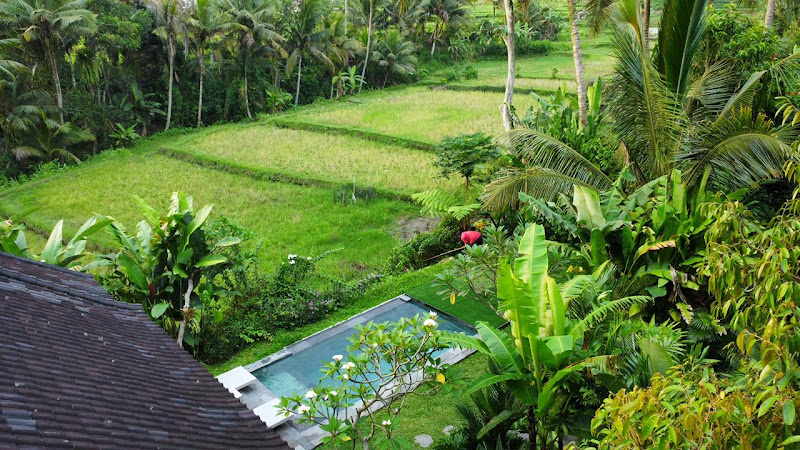 2 Bedrooms · Pejeng Kangin, Ubud — photo 6