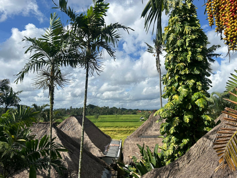 6+ Bedrooms · Lodtunduh, Ubud — photo 1