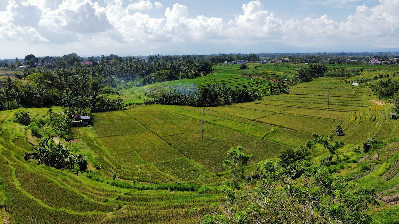 1 Bedroom · Abiansemal, 25mins From Ubud — photo 2