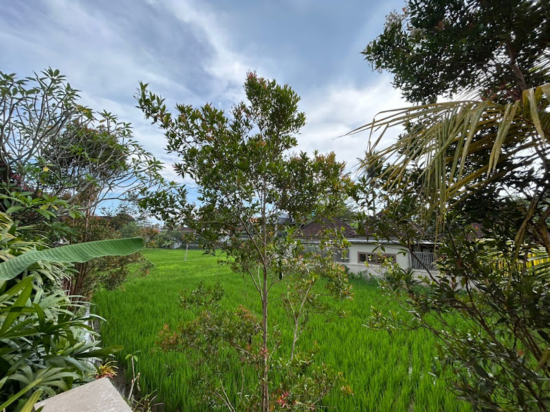 1 Bedroom · Sri Wedari, Suweta Ubud — photo 2
