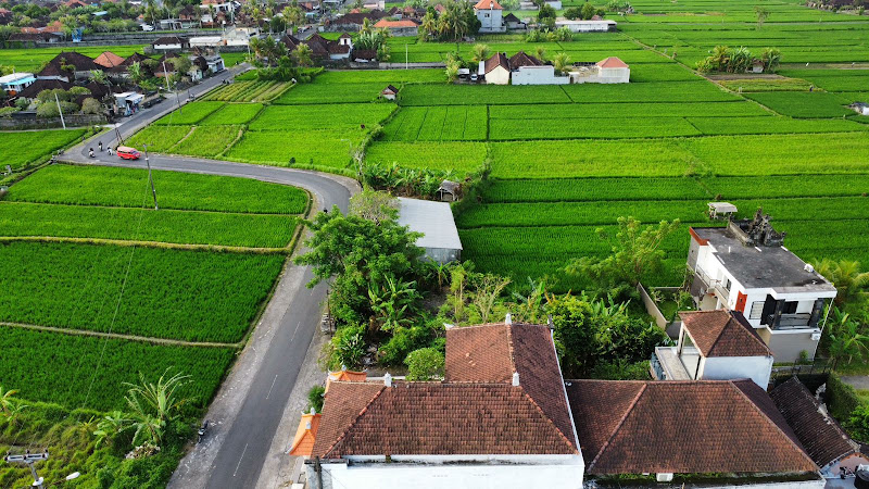 3 Bedrooms · Lodtunduh, Ubud — photo 5