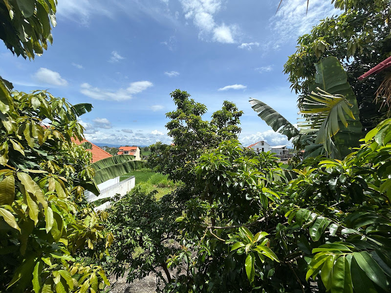 1 Bedroom · Singakerta, Ubud (Near Sayan, Nyuh Kuning) — photo 1