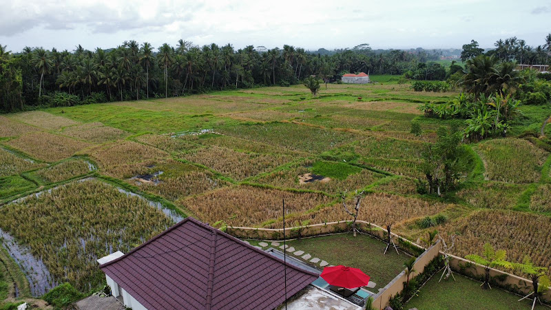 1 Bedroom · Pejeng, Ubud (Close To Center) — photo 1