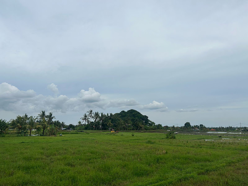 1 Bedroom · Singakerta, Ubud — photo 3