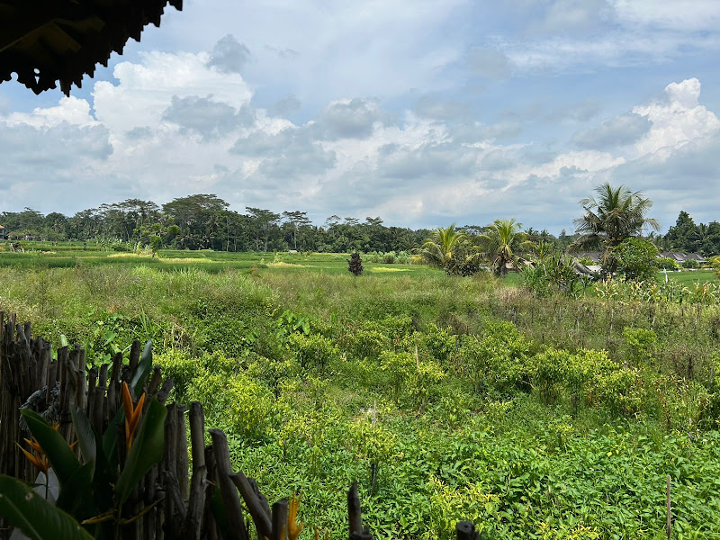1 Bedroom · Pejeng. Ubud — photo 3