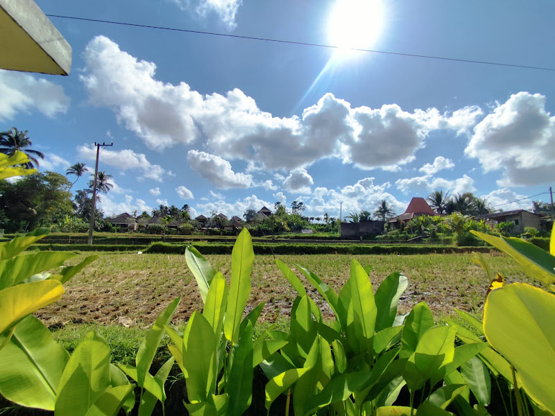 1 Bedroom · Pejeng Kawan, Ubud — photo 3