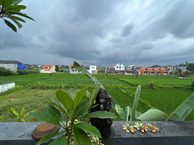 1 Bedroom · Singakerta, Ubud (Near Sayan, Nyuh Kuning) — photo 5
