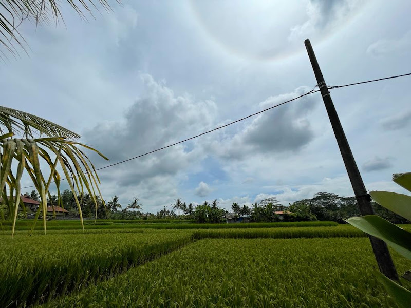 2 Bedrooms · Penestanan, Ubud — photo 2