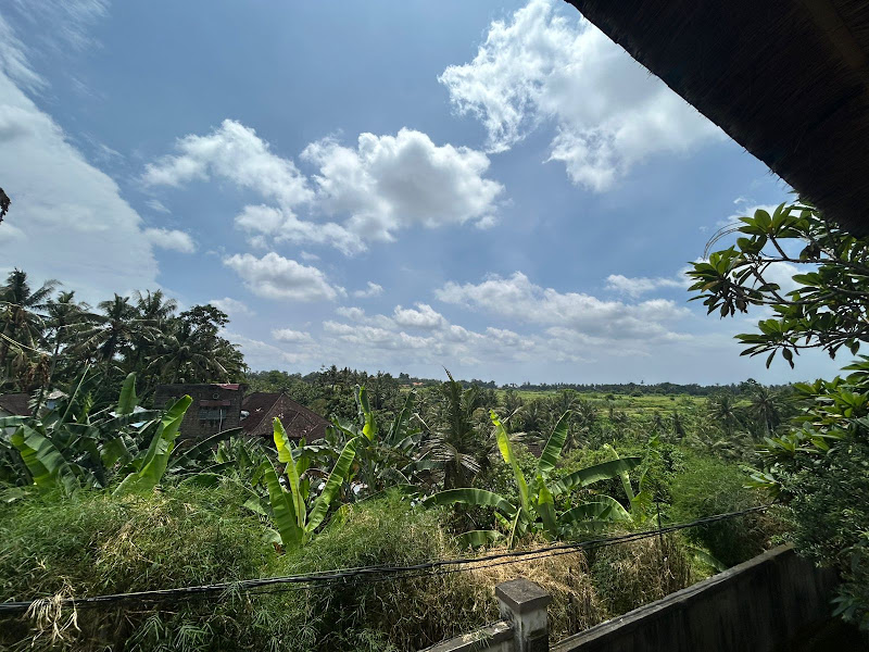 1 Bedroom · Near Nyuh Kuning, Ubud — photo 2