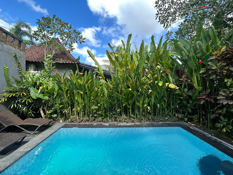 2 Bedrooms · Penestanan, Ubud — photo 2