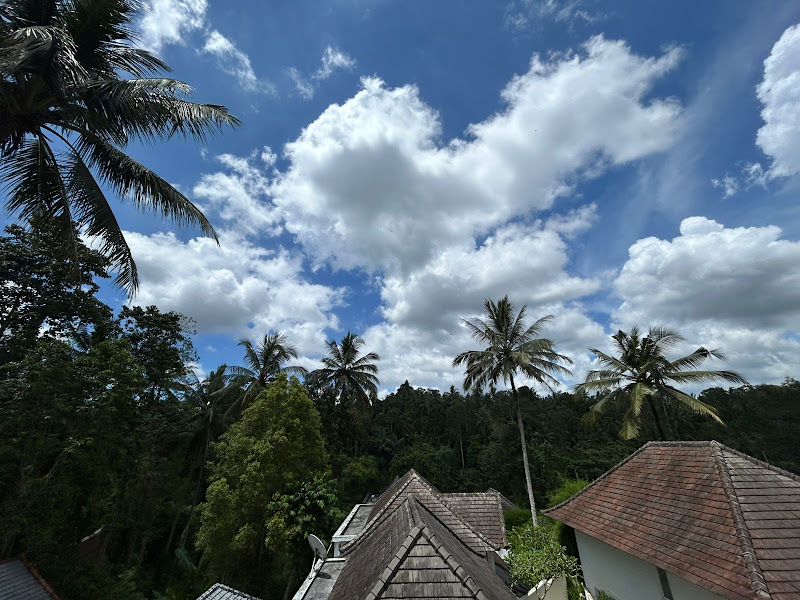 2 Bedrooms · Kedewatan, Ubud (Bangkiangsidem) — photo 1