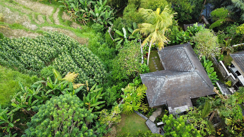 1 Bedroom · Abiansemal, 25mins From Ubud — photo 1