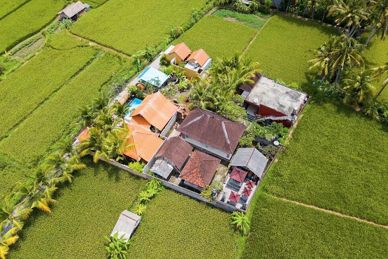 2 Bedrooms · Mas, Ubud — photo 2