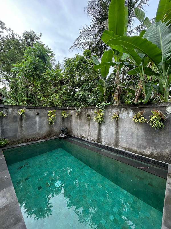 1 Bedroom · Lodtunduh, Ubud — photo 2