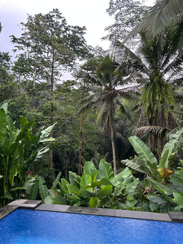 1 Bedroom · Keliki, Ubud — photo 2