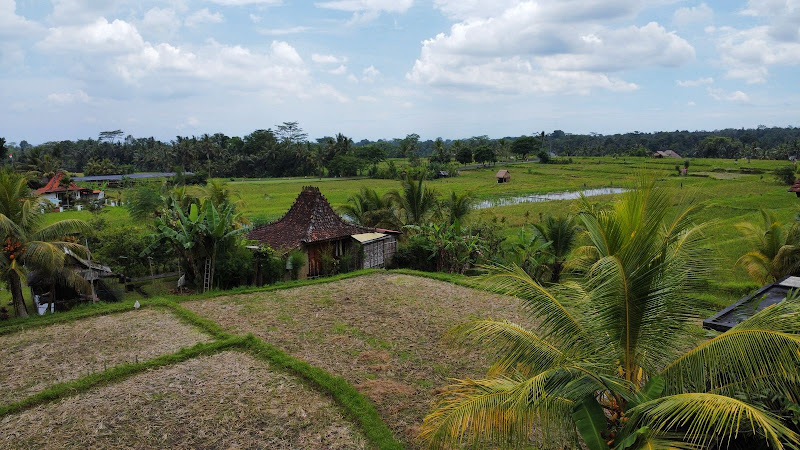1 Bedroom · Kedewatan, Ubud — photo 2