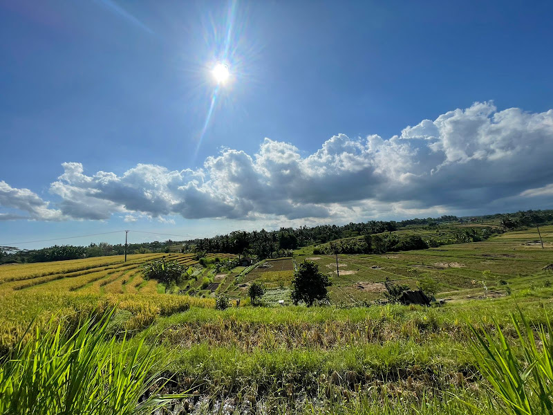 2 Bedrooms · Abiansemal, 25mins From Ubud — photo 3