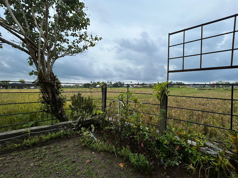 1 Bedroom · Singakerta, Ubud — photo 3