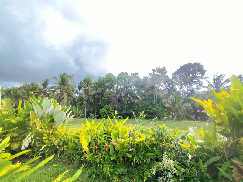 1 Bedroom · Keliki, Ubud — photo 2